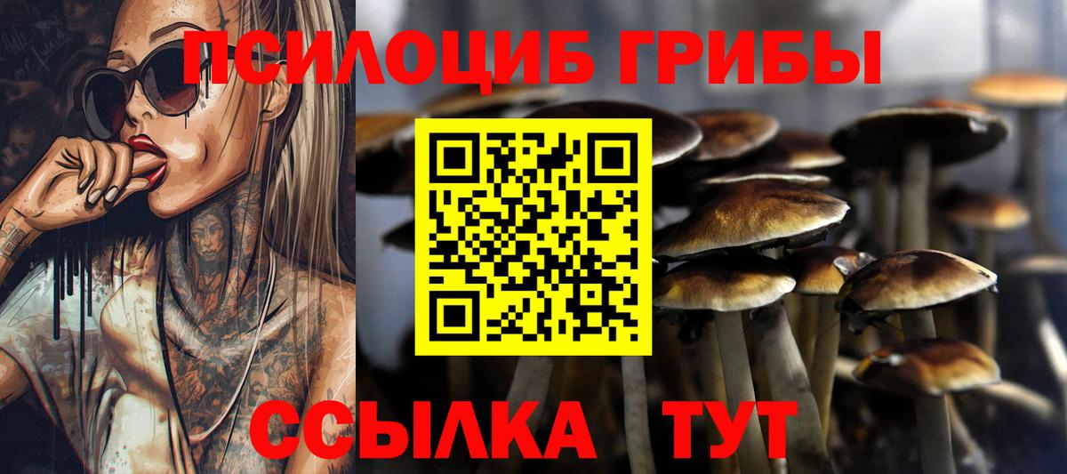 Морозовск  Галлюциногенные грибы прущие грибы  Галлюциногенные грибы мухоморы  наркошоп  Вход с VPN 